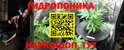 прущие грибы Бугуруслан