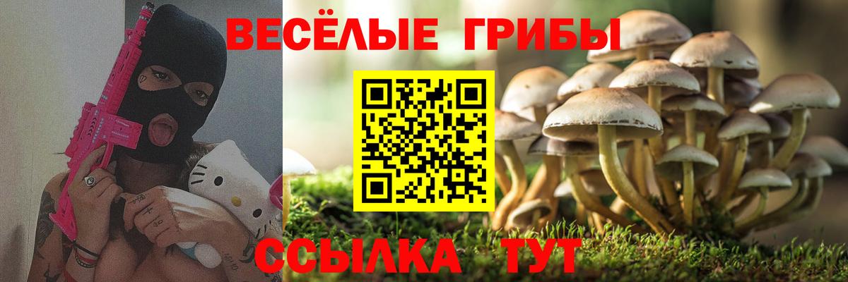 Галлюциногенные грибы ЛСД  Галлюциногенные грибы ЛСД  Петропавловск-Камчатский  Вход с VPN 